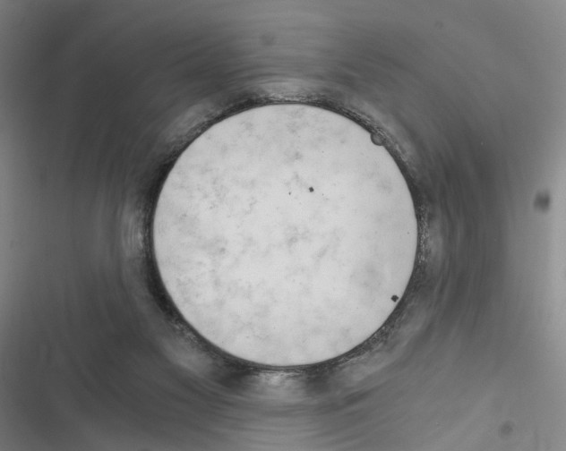 X0000116640117201001251144