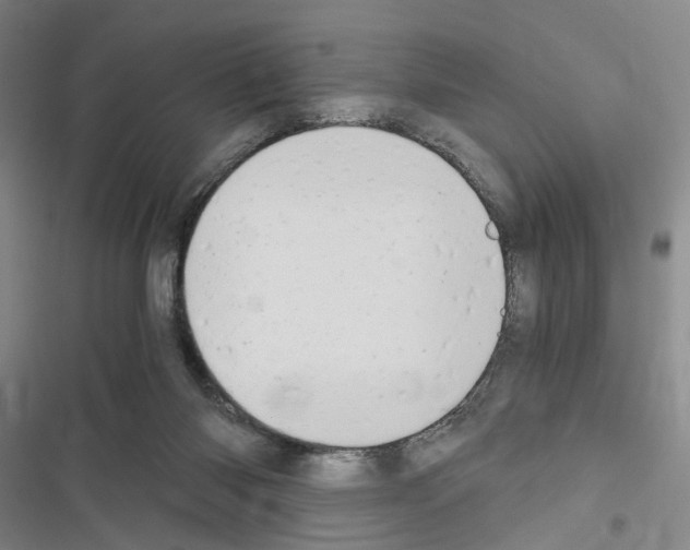 X0000116640118201001251144