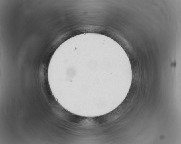 X0000116640119201001251144