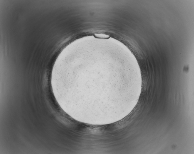 X0000116640120201001251144