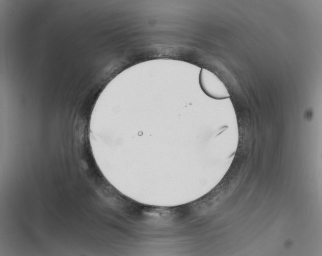 X0000116640123201001251144