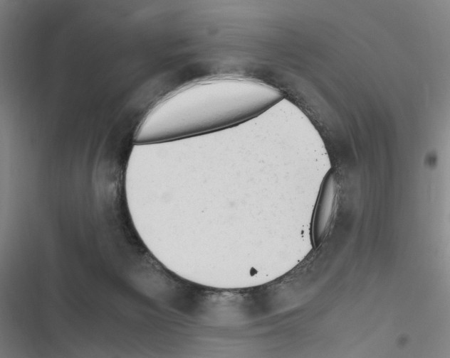 X0000116640125201001251144