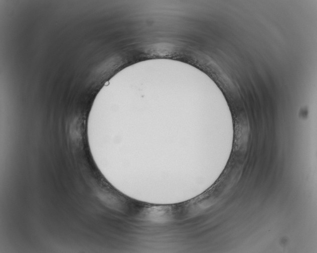 X0000116640126201001251144