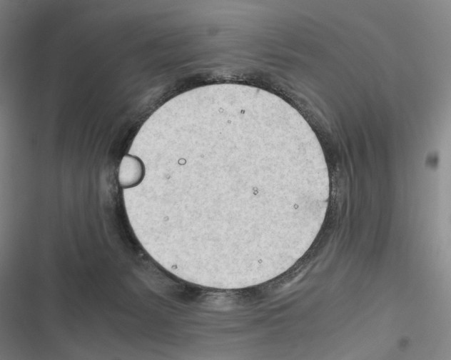 X0000116640127201001251144