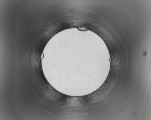 X0000116640129201001251144