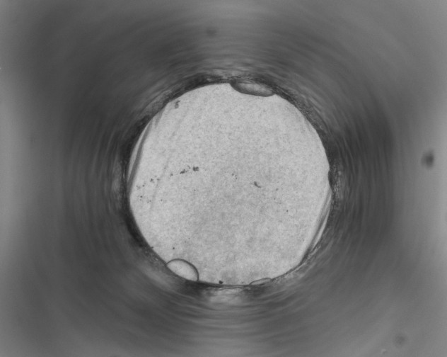 X0000116640132201001251144