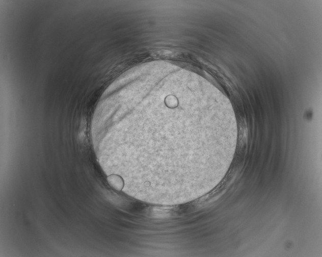 X0000116640134201001251144