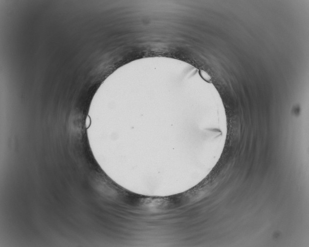 X0000116640135201001251144