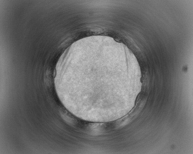 X0000116640136201001251144