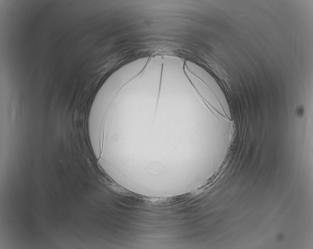 X0000116640141201001251144