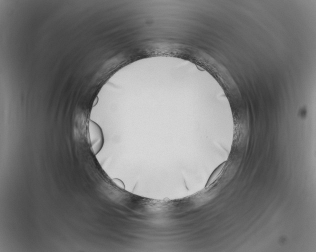 X0000116640142201001251144