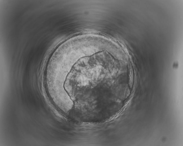 X0000116640145201001251143