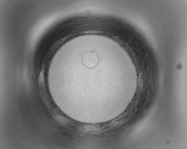 X0000116640146201001251143