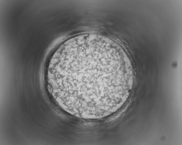 X0000116640149201001251143