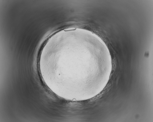 X0000116640150201001251143