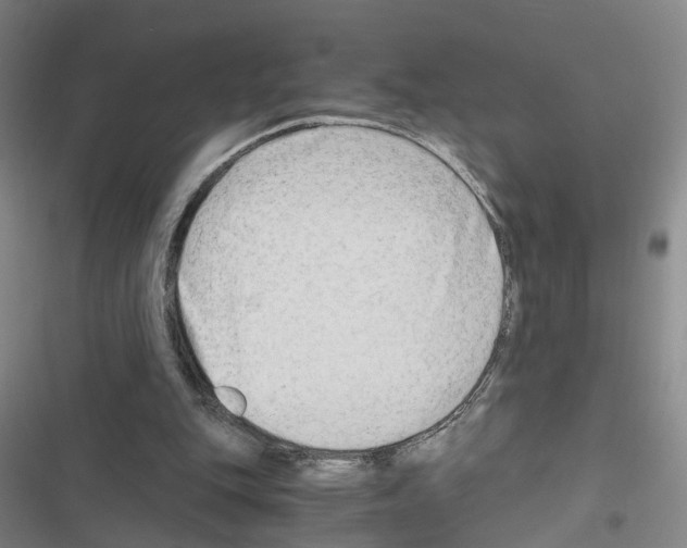 X0000116640151201001251143