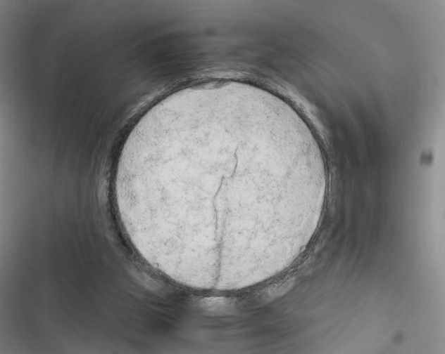 X0000116640153201001251143