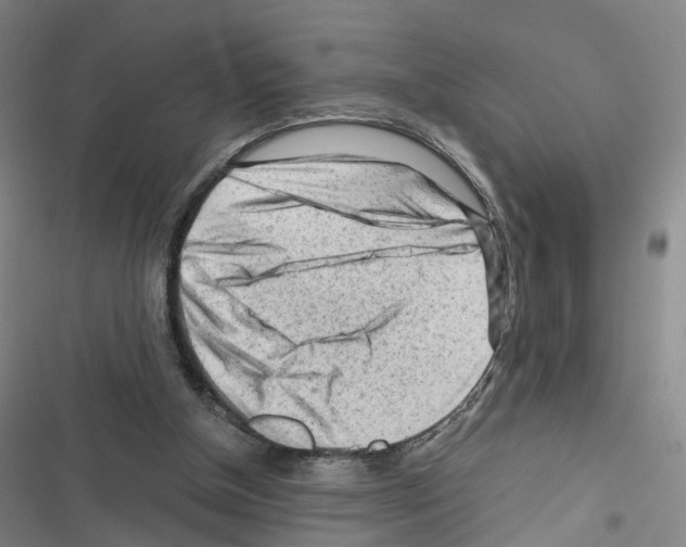 X0000116640154201001251143