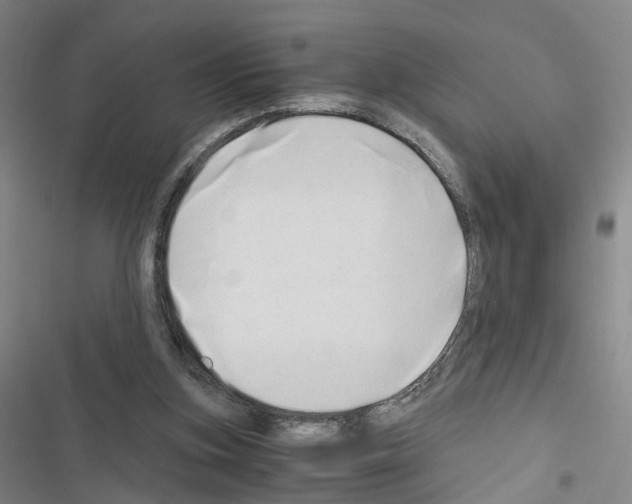 X0000116640155201001251143