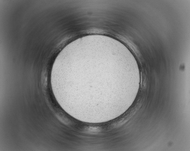 X0000116640157201001251143