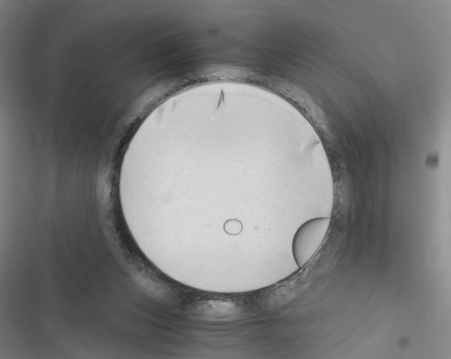 X0000116640159201001251143