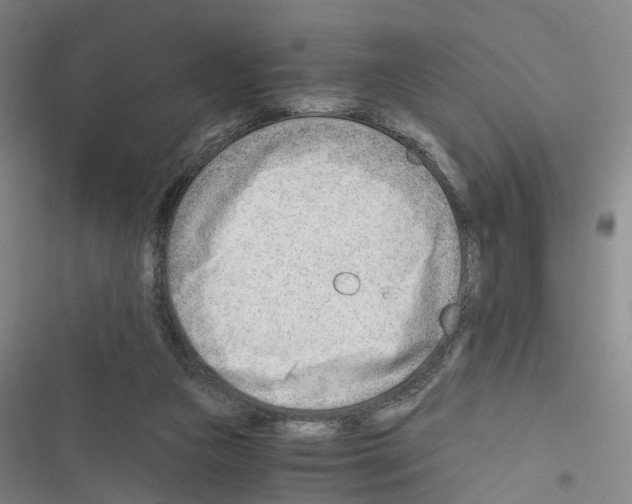 X0000116640161201001251143