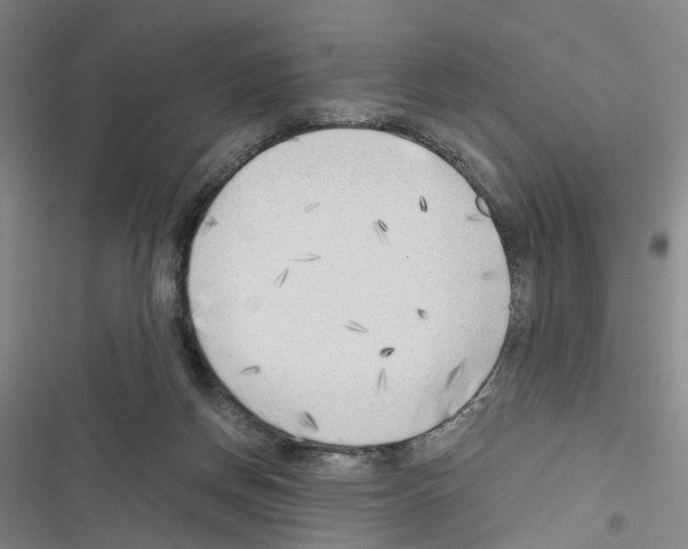 X0000116640166201001251143