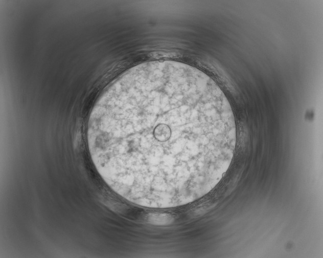 X0000116640169201001251143