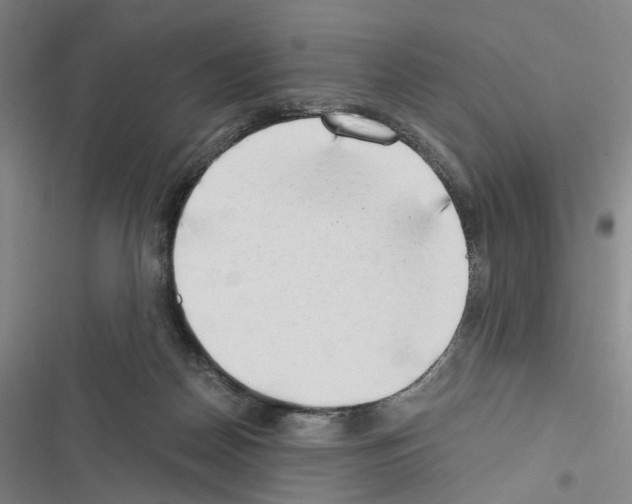 X0000116640170201001251143