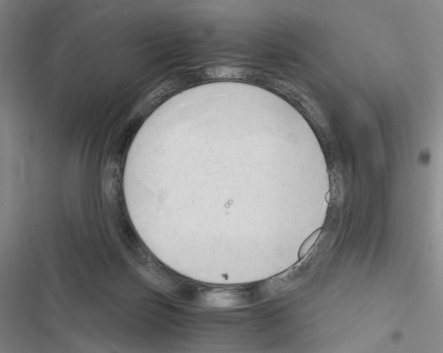 X0000116640171201001251143