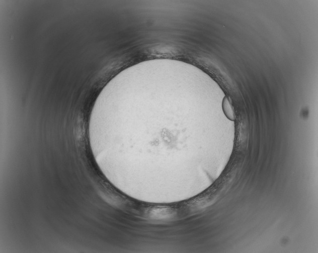 X0000116640173201001251143