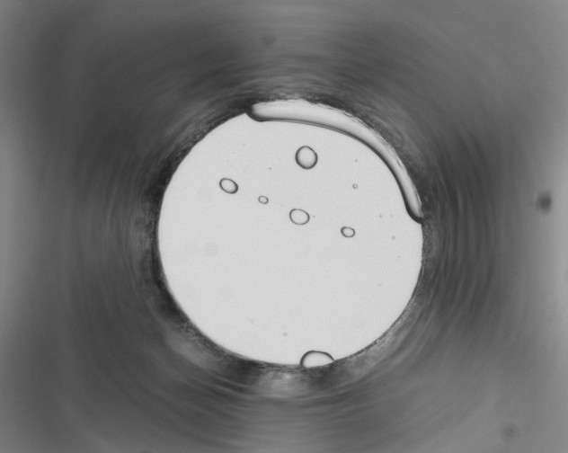 X0000116640174201001251143