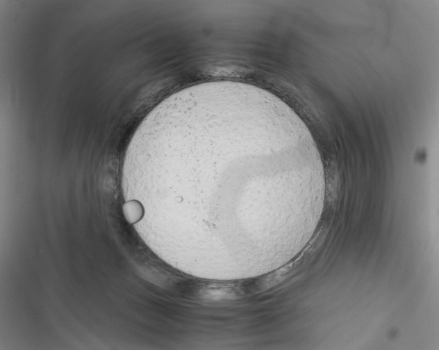 X0000116640175201001251143