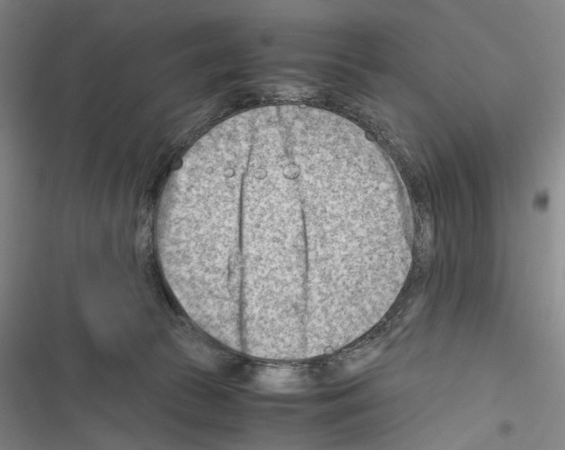 X0000116640177201001251143