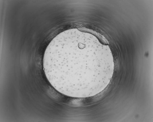 X0000116640178201001251143