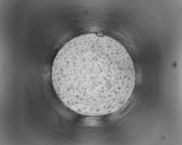 X0000116640179201001251143