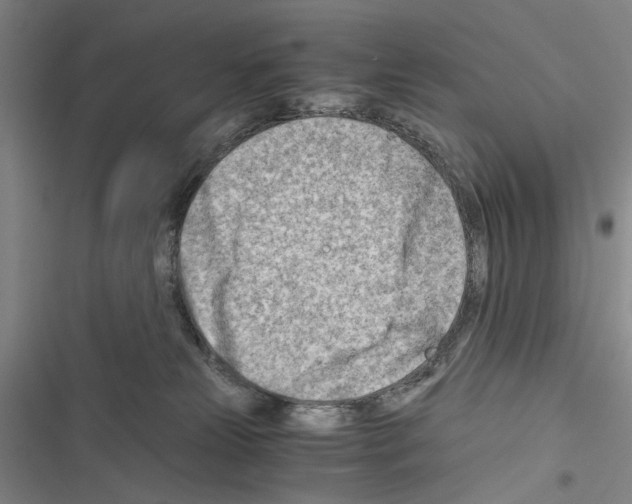 X0000116640181201001251143