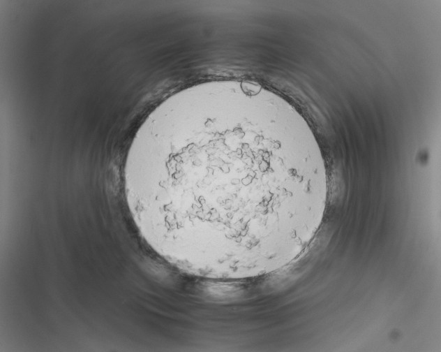 X0000116640183201001251143