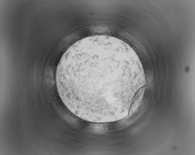 X0000116640187201001251143