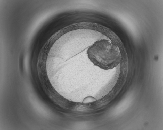 X0000116640189201001251144