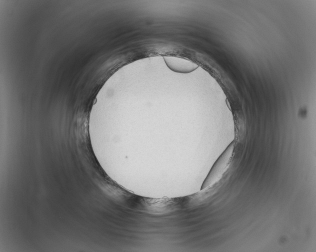 X0000116640191201001251144