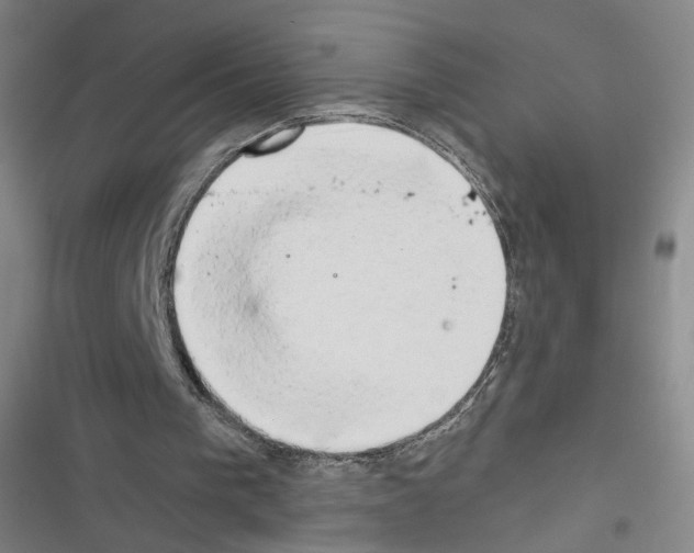 X0000116640193201001251143