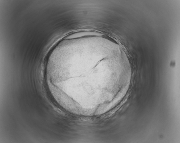 X0000116640194201001251143