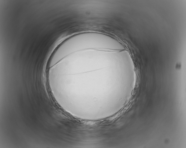 X0000116640195201001251143