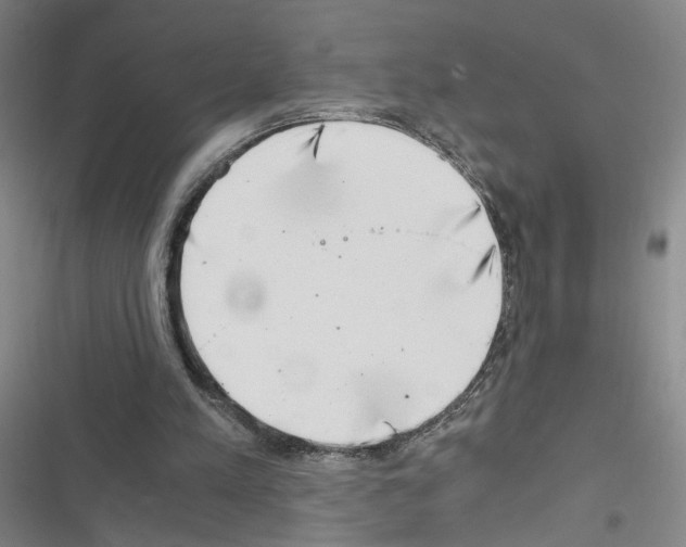 X0000116640197201001251143