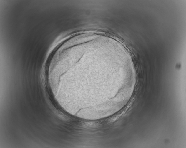 X0000116640198201001251143