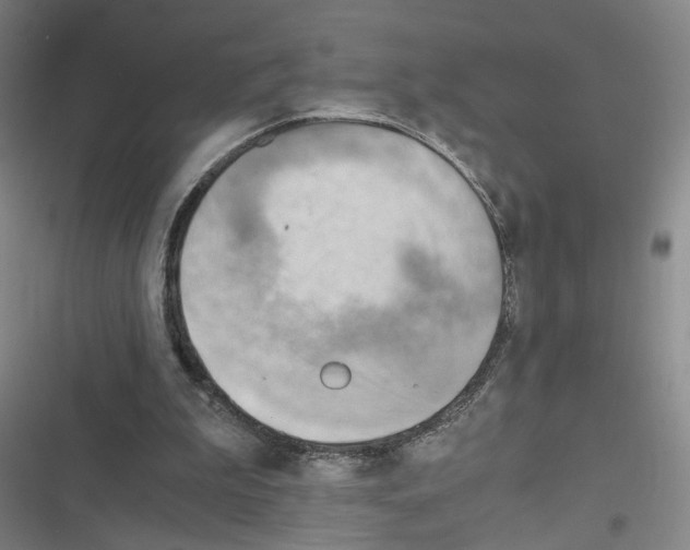 X0000116640199201001251143