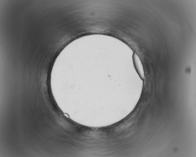 X0000116640201201001251143