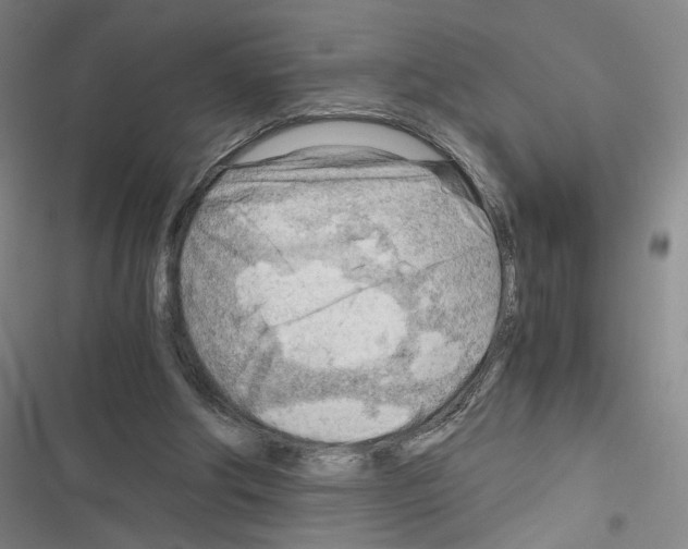 X0000116640202201001251143