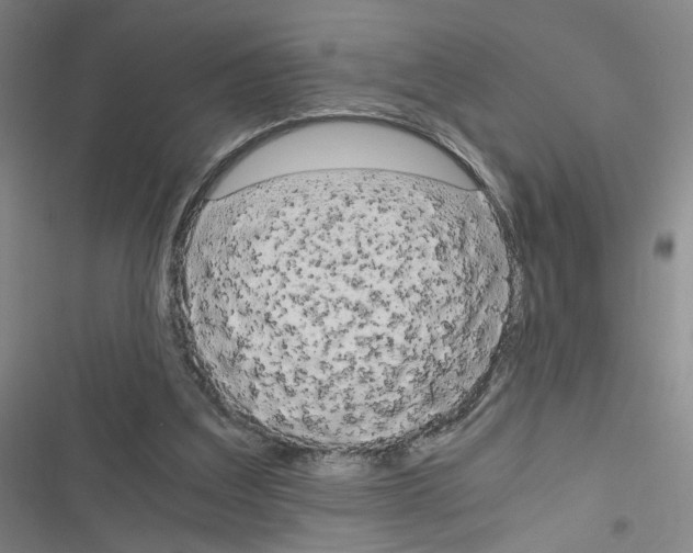 X0000116640203201001251143